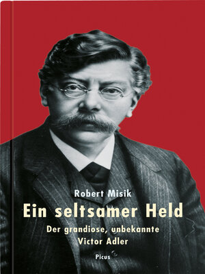 cover image of Ein seltsamer Held